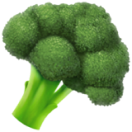 Build Healthy Habits