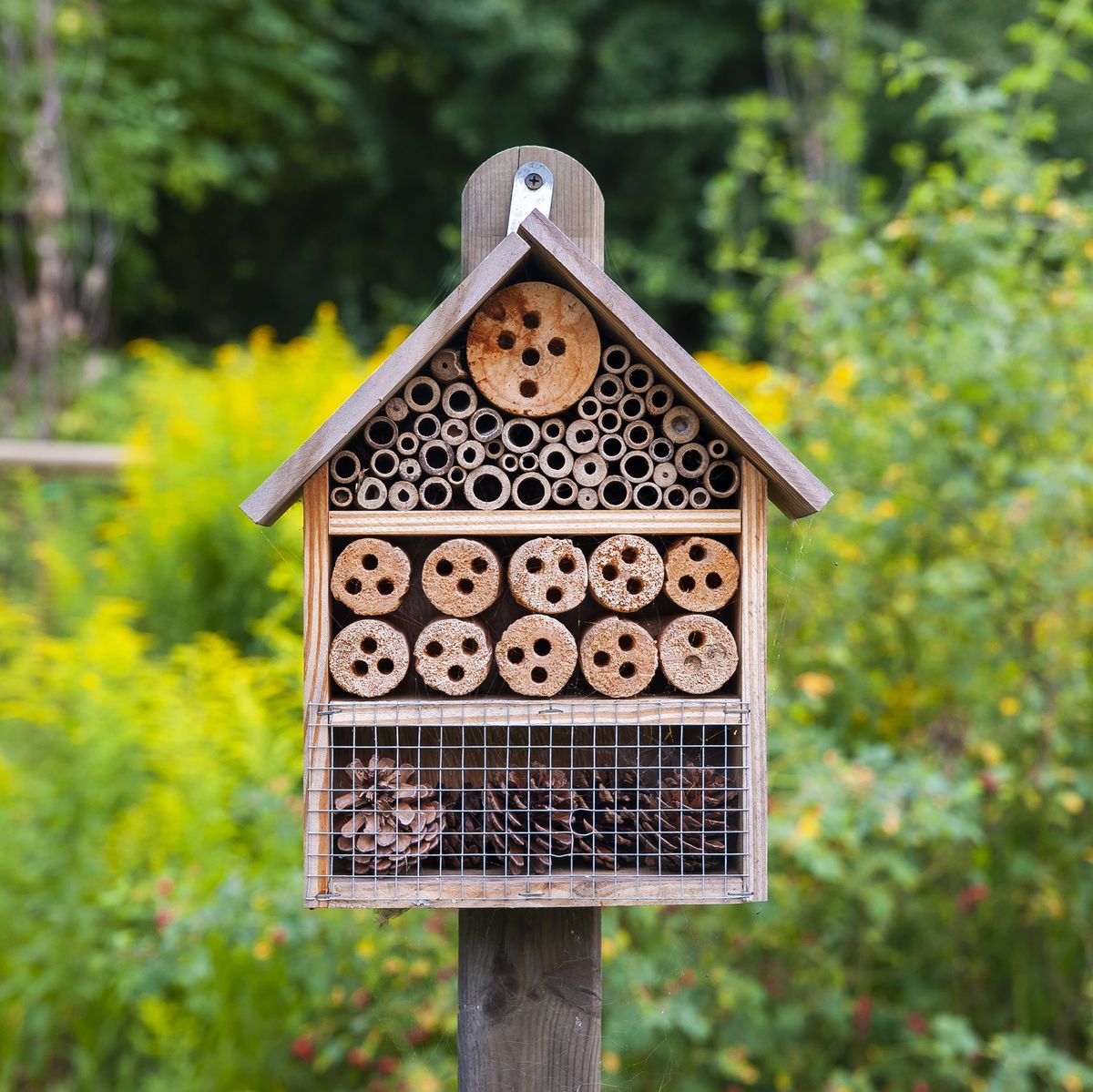 The Grand Bug Hotel