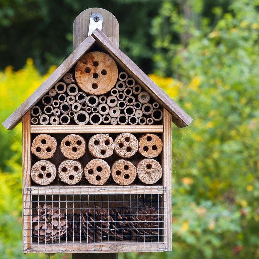 The Grand Bug Hotel